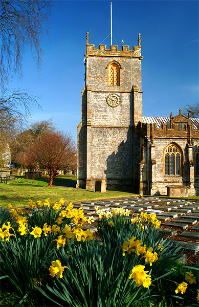 St Marys Church, Chard, Somerset Picture Board by Darren Galpin