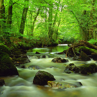 Buy canvas prints of River Yealm at Yealmpton by Darren Galpin