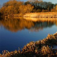 Buy canvas prints of Denaby Ings Nature Reserve by Darren Galpin