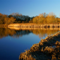 Buy canvas prints of Denaby Ings Nature Reserve by Darren Galpin
