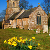 Buy canvas prints of St Andrews Church & Daffodils, Burstock, Dorset by Darren Galpin