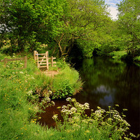 Buy canvas prints of River Teign near Chagford by Darren Galpin