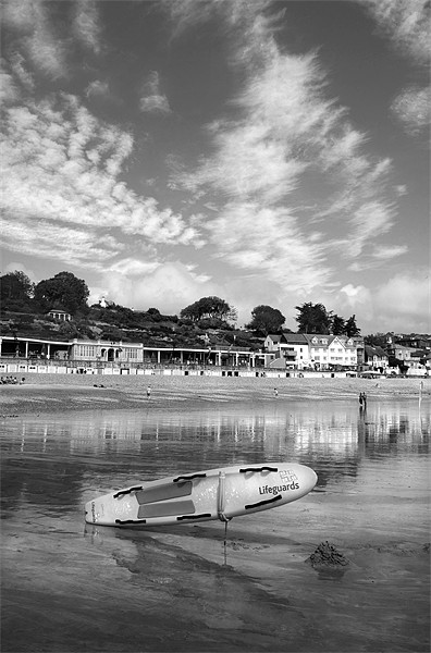 Lyme Regis Seafront & Lifeguard Raft Picture Board by Darren Galpin