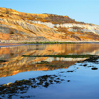 Buy canvas prints of The Spittles, Lyme Bay, Dorset by Darren Galpin