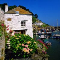 Buy canvas prints of Old Watch House & Polperro Harbour by Darren Galpin