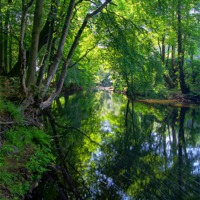 Buy canvas prints of Beeley Wood & River Don in Sheffield by Darren Galpin