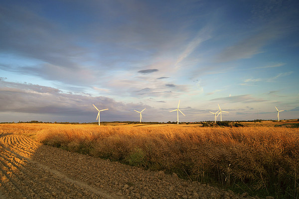 Wind Turbines in South Yorkshire Picture Board by Darren Galpin