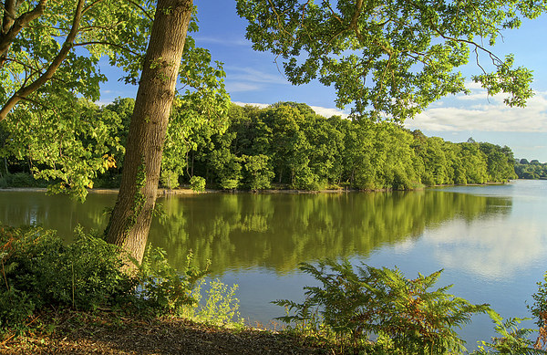 Chard Reservoir Picture Board by Darren Galpin