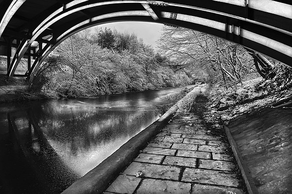 Supertram Bridge & Sheffield Canal Picture Board by Darren Galpin
