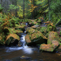 Buy canvas prints of Wyming Brook with Autumn Colours by Darren Galpin