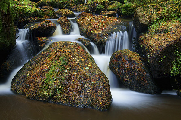 Wyming Brook Falls Picture Board by Darren Galpin