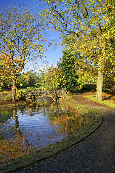 Weston Park Pond in Sheffield Picture Board by Darren Galpin