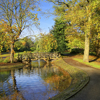 Buy canvas prints of Weston Park Pond in Sheffield by Darren Galpin