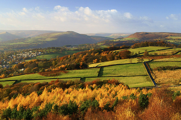 Hathersage Autumn Colours Picture Board by Darren Galpin