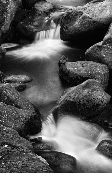 Padley Gorge in Mono Picture Board by Darren Galpin