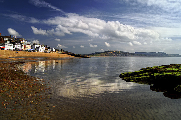 Lyme Regis Picture Board by Darren Galpin