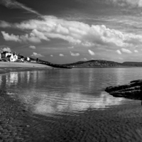 Buy canvas prints of Lyme Regis in Mono by Darren Galpin