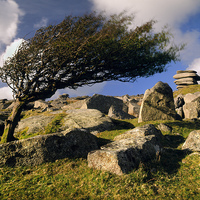 Buy canvas prints of Bodmin Moor Stowes Hill by Darren Galpin
