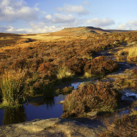 Buy canvas prints of Footpath to Burbage Rocks by Darren Galpin