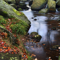 Buy canvas prints of Autumn Colours in Padley Gorge by Darren Galpin