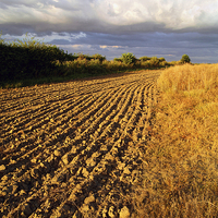 Buy canvas prints of Ploughed Field by Darren Galpin