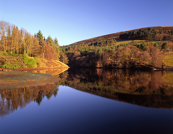 Ladybower Reflections Picture Board by Darren Galpin