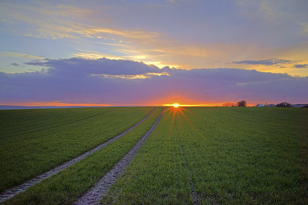 Farmland Sunset Picture Board by Darren Galpin