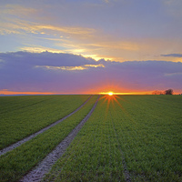 Buy canvas prints of Farmland Sunset by Darren Galpin