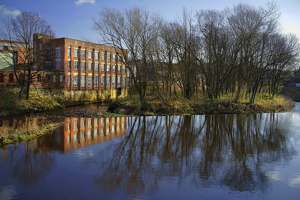 River Don at Kelham Weir Picture Board by Darren Galpin