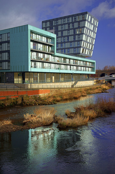 Modern Apartment Buildings next to River Don Picture Board by Darren Galpin
