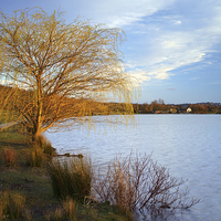 Buy canvas prints of Rother Valley Country Park by Darren Galpin