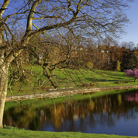 Buy canvas prints of Crookes Valley Park in Spring by Darren Galpin