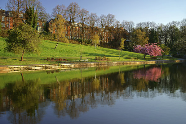 Crookes Valley Park Reflections Picture Board by Darren Galpin