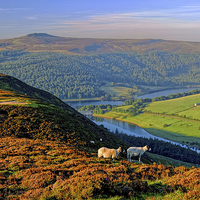 Buy canvas prints of Ladybower Lookout by Darren Galpin