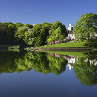 Buy canvas prints of Crookes Valley Park Mirror Image by Darren Galpin