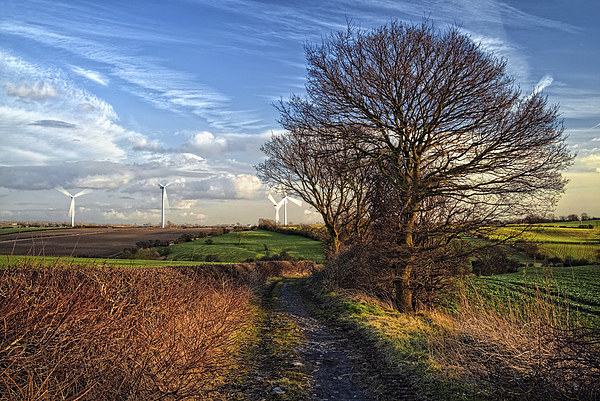 Pathway to Penny Hill Picture Board by Darren Galpin