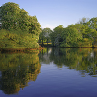 Buy canvas prints of Hillsborough Park Reflections by Darren Galpin