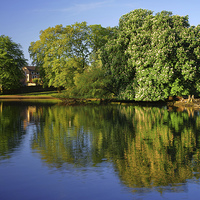 Buy canvas prints of Hillsborough Park Reflections 2 by Darren Galpin