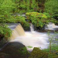 Buy canvas prints of Third Coppice Weir, Rivelin by Darren Galpin