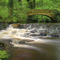 Buy canvas prints of Packhorse Bridge and Waterfalls at Rivelin by Darren Galpin