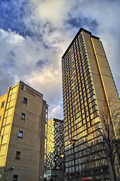 St Pauls Tower, Sheffield Picture Board by Darren Galpin