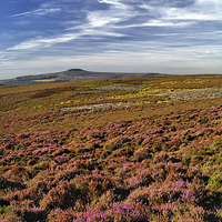 Buy canvas prints of Win Hill & Derwent Moor by Darren Galpin