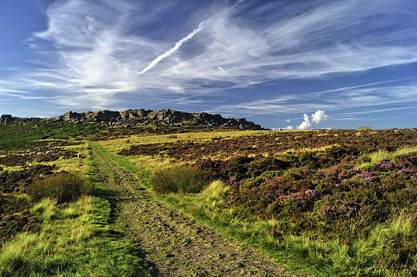 Footpath to Stanage Edge 2 Picture Board by Darren Galpin
