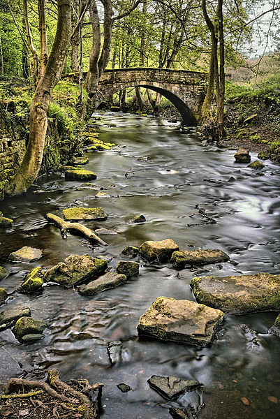 River Rivelin & Roscoe Bridge Picture Board by Darren Galpin