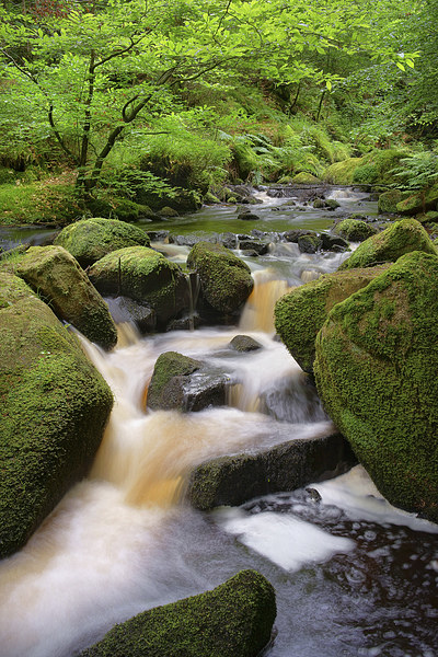 Wyming Brook Falls 2 Picture Board by Darren Galpin