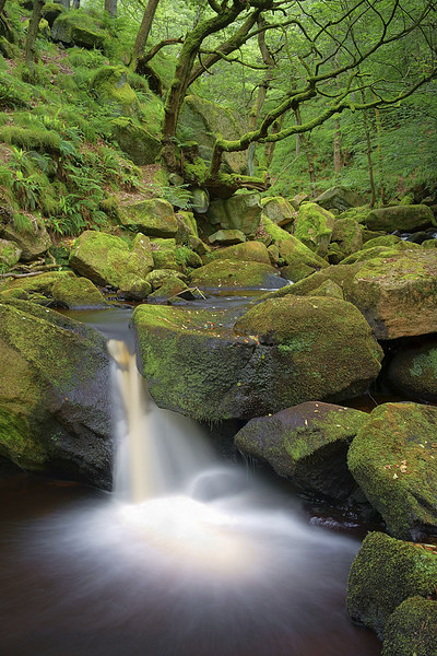  Ballerina Falls at Padley Gorge Picture Board by Darren Galpin