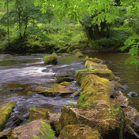 Buy canvas prints of River Derwent Stepping Stones  by Darren Galpin