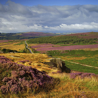 Buy canvas prints of View From Burbage Rocks  by Darren Galpin