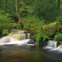 Buy canvas prints of Third Coppice Weir, Rivelin  by Darren Galpin