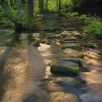 Buy canvas prints of Golden Stepping Stones  by Darren Galpin